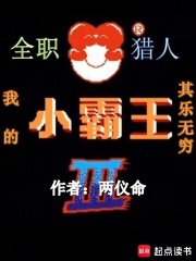 全职猎人:我的小霸王其乐无穷