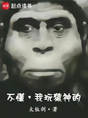不懂,我玩猿神的