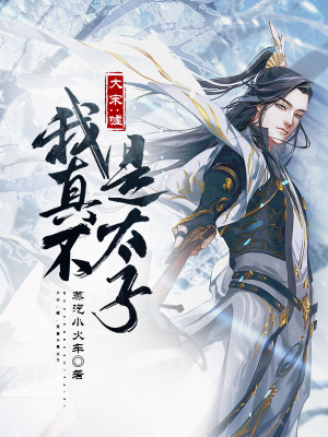 大宋:嘘,我真不是太子